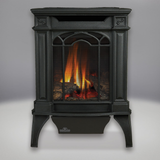 Napoleon Arlington GDS20 gas stove - metallic black
