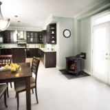Napoleon Bayfield GDS25 direct vent gas stove