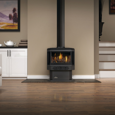 Napoleon Haliburton GDS28 direct vent gas stove