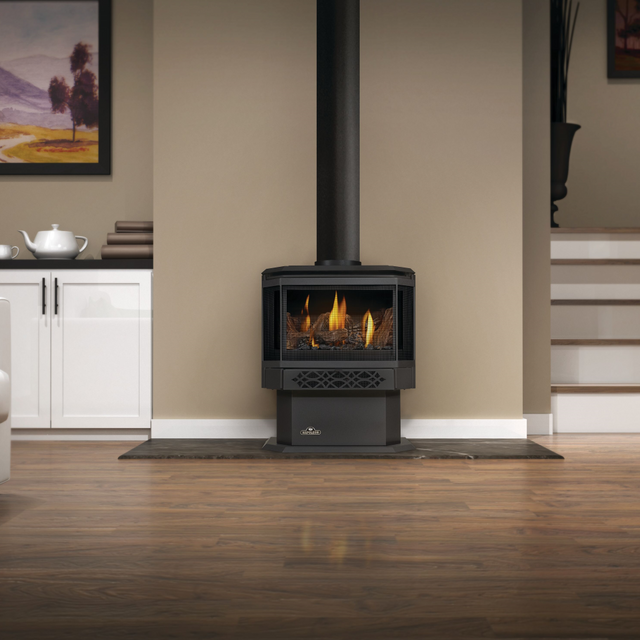 Napoleon Haliburton GDS28 direct vent gas stove