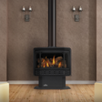 Napoleon Havelock GDS50 direct vent gas stove