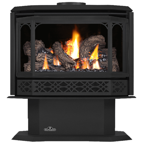 Napoleon Havelock GDS50 gas stove - metallic black door
