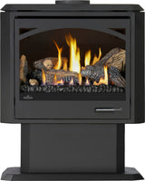 Napoleon Havelock Elite GDS50N-2 pedestal with arched glass door ARCHGDS50