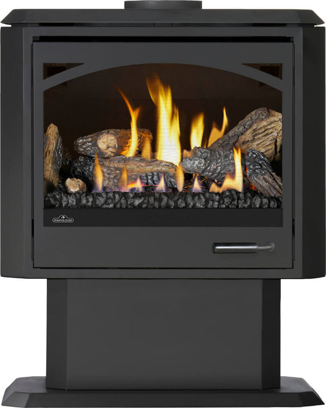 Napoleon Havelock Elite GDS50N-2 pedestal with arched glass door ARCHGDS50