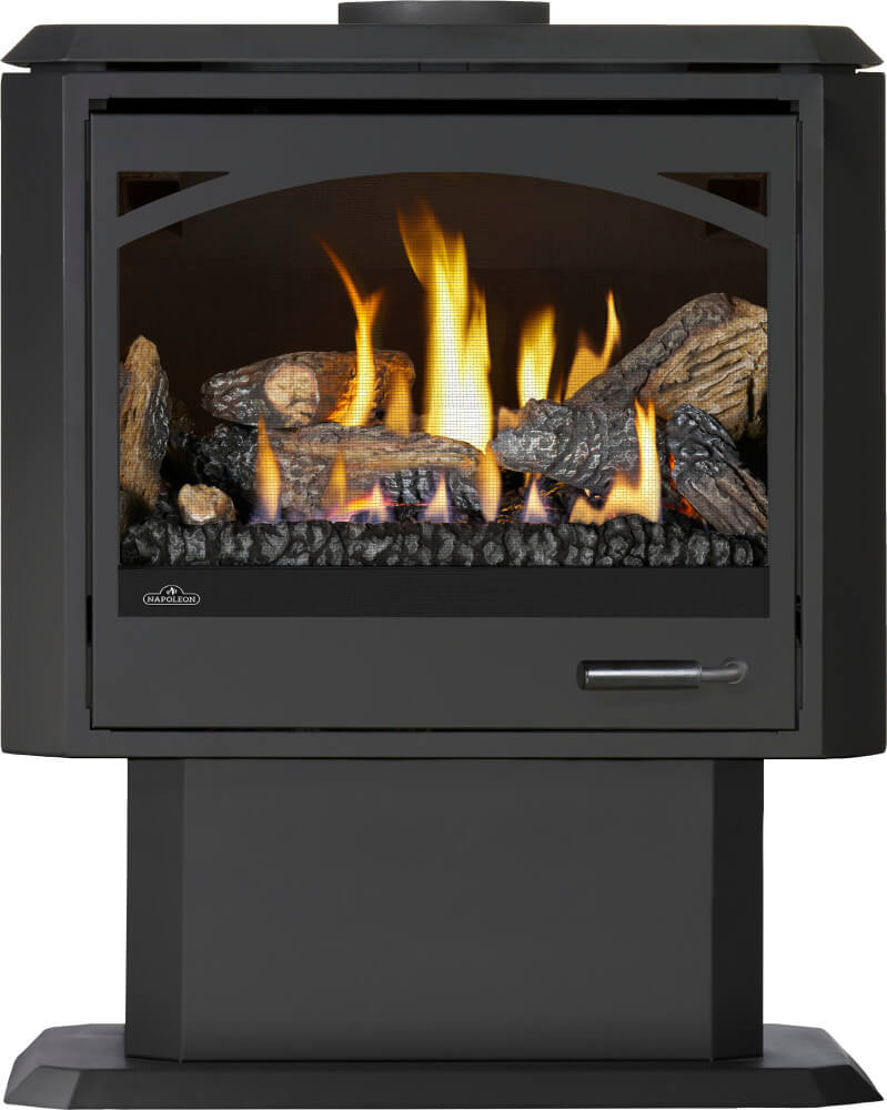 Napoleon Havelock Elite GDS50N-2 pedestal with arched glass door ARCHGDS50