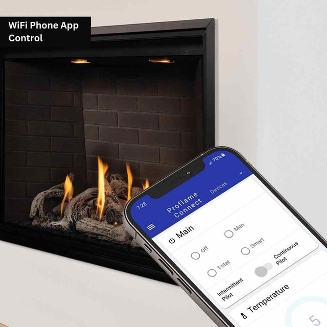 Montigo Distinction 36 See-Thru Direct-Vent Gas Fireplace - D3615STNI-2
