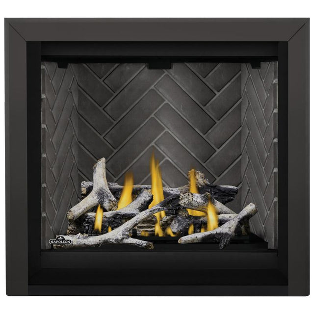 Napoleon Altitude X 36" Direct Vent Fireplace | AX36-1