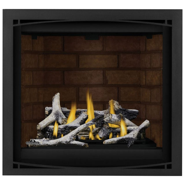 Napoleon Altitude X 36" Direct Vent Fireplace | AX36-1