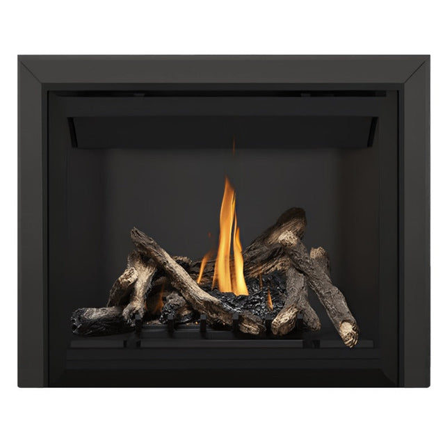Napoleon Altitude 42" Direct Vent Fireplace | A42