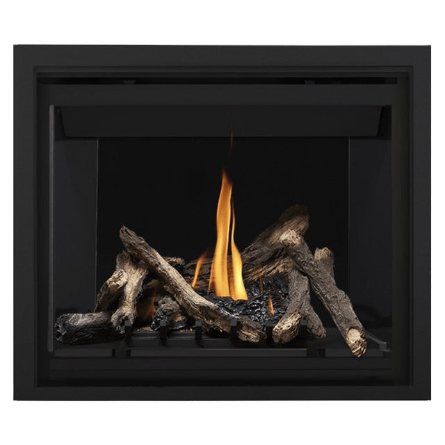 Napoleon Altitude 42" Direct Vent Fireplace | A42