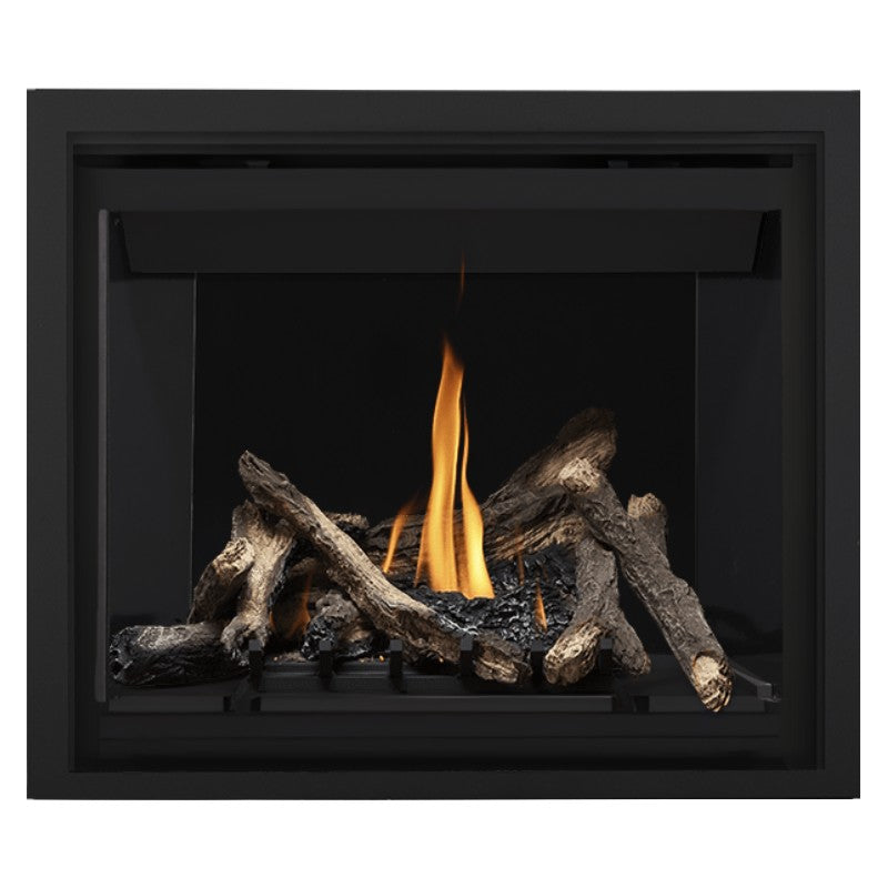Napoleon Altitude 42" Direct Vent Fireplace | A42