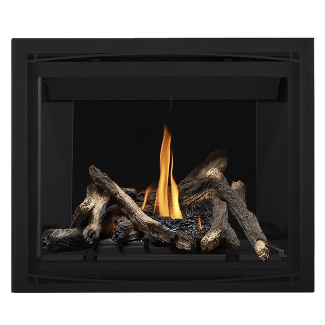 Napoleon Altitude 42" Direct Vent Fireplace | A42
