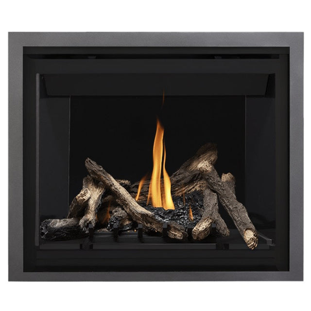 Napoleon Altitude 42" Direct Vent Fireplace | A42