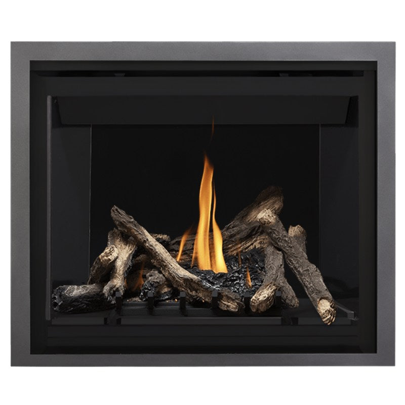 Napoleon Altitude 42" Direct Vent Fireplace | A42