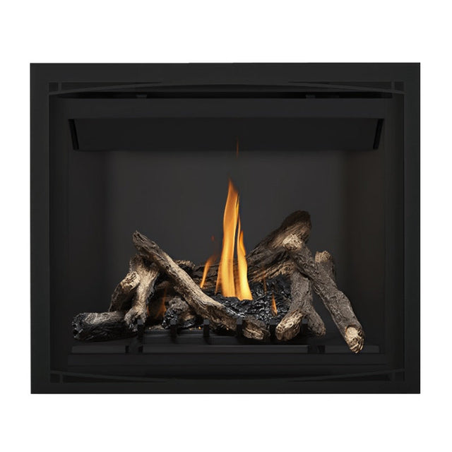 Napoleon Altitude 42" Direct Vent Fireplace | A42
