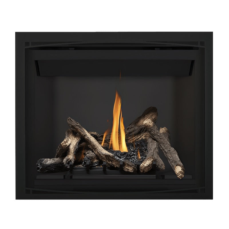 Napoleon Altitude 42" Direct Vent Fireplace | A42