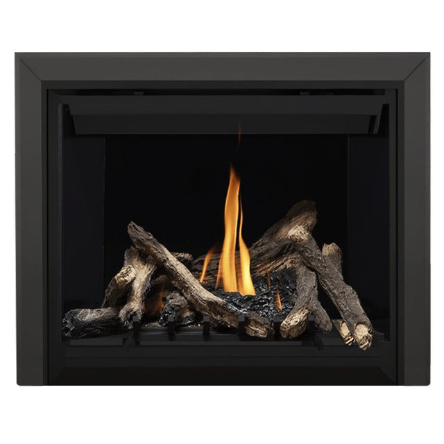 Napoleon Altitude 42" Direct Vent Fireplace | A42