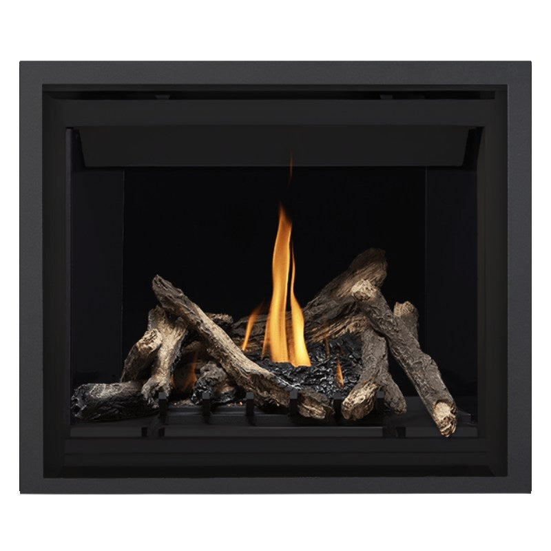 Napoleon Altitude 42" Direct Vent Fireplace | A42