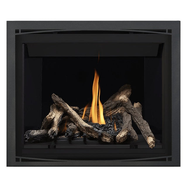 Napoleon Altitude 42" Direct Vent Fireplace | A42