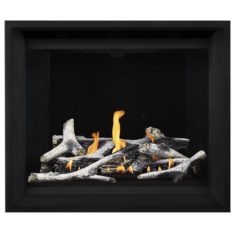 Napoleon Altitude X 42" Direct Vent Fireplace | AX42-1