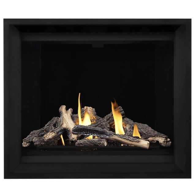 Napoleon Altitude X 42" Direct Vent Fireplace | AX42-1