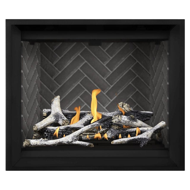 Napoleon Altitude X 42" Direct Vent Fireplace | AX42-1