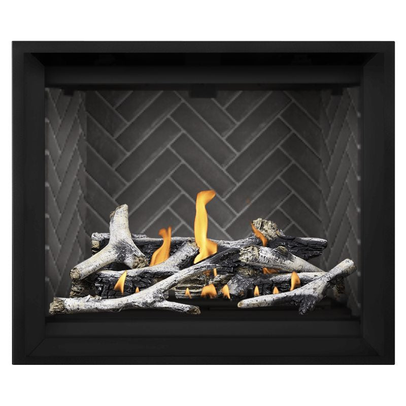 Napoleon Altitude X 42" Direct Vent Fireplace | AX42-1