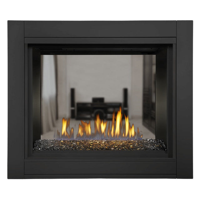 Napoleon Ascent Multi View See Thru Direct Vent Gas Fireplace | BHD4