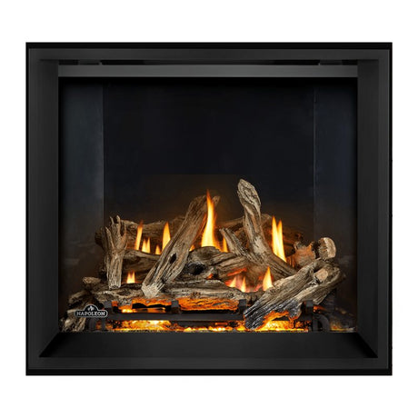 Napoleon Elevation X 36" Direct Vent Fireplace | EX36