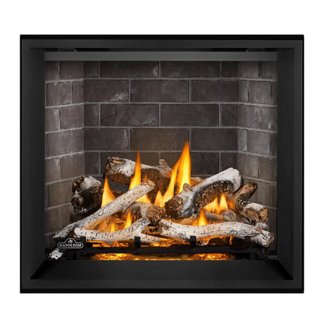 Napoleon Elevation X 36" Direct Vent Fireplace | EX36