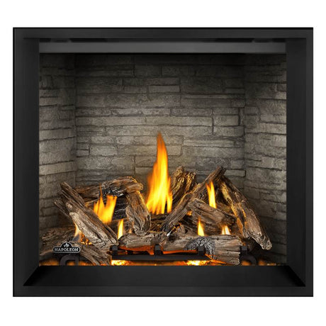 Napoleon Elevation X 42" Direct Vent Fireplace | EX42