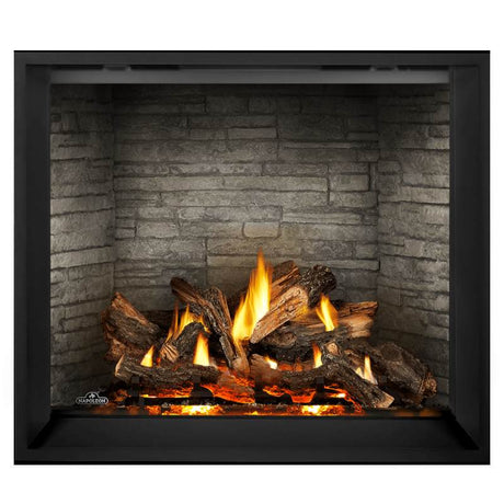 Napoleon Elevation X 42" Direct Vent Fireplace | EX42