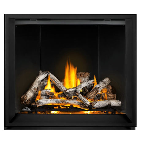 Napoleon Elevation X 42" Direct Vent Fireplace | EX42