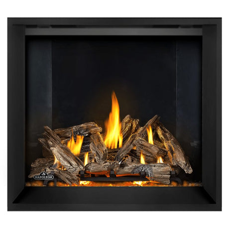 Napoleon Elevation X 42" Direct Vent Fireplace | EX42