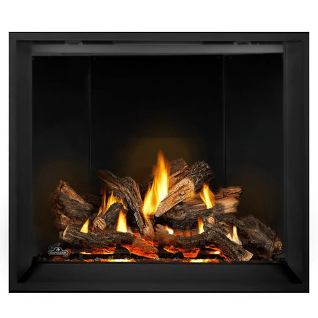 Napoleon Elevation X 42" Direct Vent Fireplace | EX42