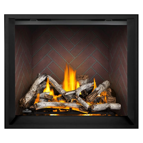Napoleon Elevation X 42" Direct Vent Fireplace | EX42
