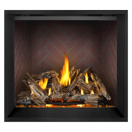 Napoleon Elevation X 42" Direct Vent Fireplace | EX42