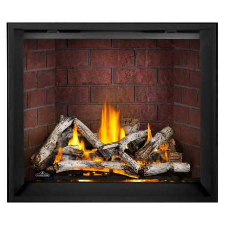 Napoleon Elevation X 42" Direct Vent Fireplace | EX42