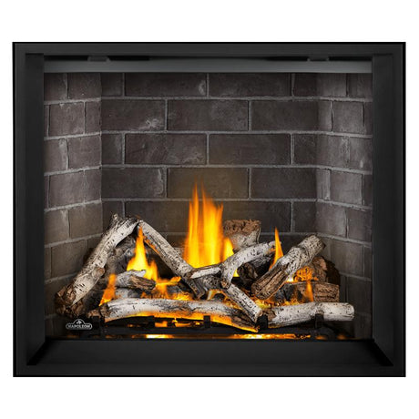 Napoleon Elevation X 42" Direct Vent Fireplace | EX42
