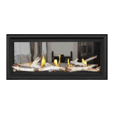 Napoleon Vector 38" See Thru Linear Direct Vent Gas Fireplace | LV38N2