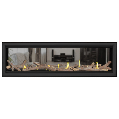 Napoleon Vector 62" See Thru Linear Direct Vent Gas Fireplace | LV62N2