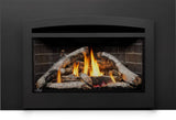 Napoleon Rosedale 3 gas insert with birch logs and arched faceplate