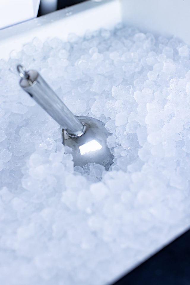 Summerset IM-15N Outdoor Nugget Ice Maker - handle and door detail