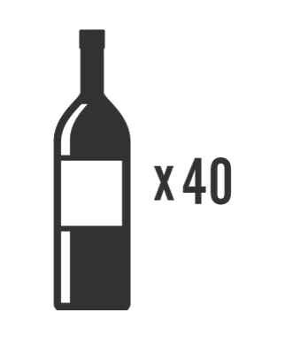 True TUWADA-24-RS-A-S ADA Wine Cabinet - interior capacity diagram