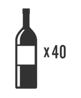 True TUWADA-24-LS-A-O ADA Wine Cabinet - interior capacity diagram