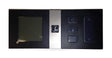 Napoleon W660-0160 SIT wall mount remote control for gas fireplaces