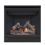 Napoleon Ascent 36 direct vent gas fireplace