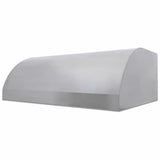 Blaze 48-inch 2000 CFM stainless steel outdoor vent hood BLZ-48-VHOOD2