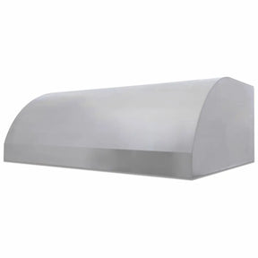 Blaze 48-inch 2000 CFM stainless steel outdoor vent hood BLZ-48-VHOOD2