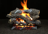 Hargrove 21 Inch Radiant Heat Series Vented Gas Log Set With Variable Flame Control - 18RNEB1F5